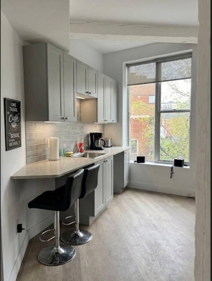 Downtown hotel suite in the Plateau 101 1